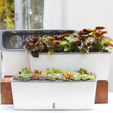 **"New Design! Portable Decorative Self-Watering Indoor Planter - Double Layer Long Strip Flower Pot for Succulents & Vegetables"**