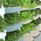 **Upgraded Hydroponic Vegetable Planting System - Innovative Indoor Vertical Grower for Fresh Produce All Year**