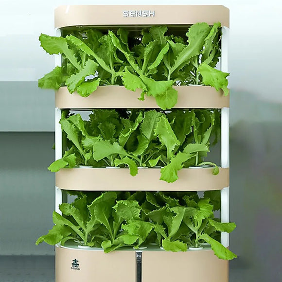 **Upgraded Hydroponic Vegetable Planting System - Innovative Indoor Vertical Grower for Fresh Produce All Year**