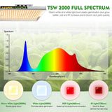 Upgraded High Quality TSW 2000W LED Grow Light 120x120x200 cm Indoor Tent Grow Kits Full Spectrum Quantum Board Lamp For Hydroponics System