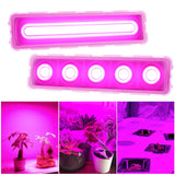 COB LED Grow Light Full Spectrum AC220V 50W Led Grow Lamp Indoor Plants IP65 Waterproof Greenhouses Indoor Phyto Lamp