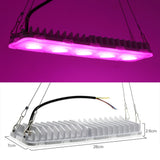 COB LED Grow Light Full Spectrum AC220V 50W Led Grow Lamp Indoor Plants IP65 Waterproof Greenhouses Indoor Phyto Lamp