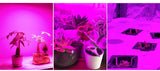 COB LED Grow Light Full Spectrum AC220V 50W Led Grow Lamp Indoor Plants IP65 Waterproof Greenhouses Indoor Phyto Lamp