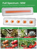 COB LED Grow Light Full Spectrum AC220V 50W Led Grow Lamp Indoor Plants IP65 Waterproof Greenhouses Indoor Phyto Lamp