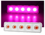 COB LED Grow Light Full Spectrum AC220V 50W Led Grow Lamp Indoor Plants IP65 Waterproof Greenhouses Indoor Phyto Lamp