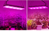 COB LED Grow Light Full Spectrum AC220V 50W Led Grow Lamp Indoor Plants IP65 Waterproof Greenhouses Indoor Phyto Lamp