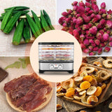 2022 New! Upgraded Professional Food dehydrator electric multi-layer food preservation machine MeatrBeef fruit and vegetable dryer