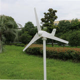 High Quality 3000W 5 Blades Free Energy Windmill 12V 24V 48V Wind Power Small Wind Turbine Generator MPPT Controller For Home use