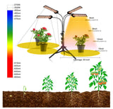 DC12V Full Spectrum LED Grow Light For Plants 20W 40W 60W 80W SMD2835 Dimmable Timing Phyto Lamp For Greenhouse Tent