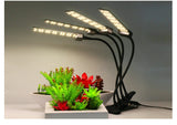 DC12V Full Spectrum LED Grow Light For Plants 20W 40W 60W 80W SMD2835 Dimmable Timing Phyto Lamp For Greenhouse Tent