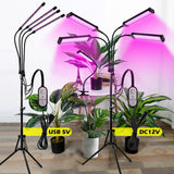 USB 5V LED Grow Light 18W 27W 36W DC12V Full Spectrum Phyto Lamp 40W 60W 80W For Plants Seedlings Flower For Veg Flowers