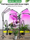 USB 5V LED Grow Light 18W 27W 36W DC12V Full Spectrum Phyto Lamp 40W 60W 80W For Plants Seedlings Flower For Veg Flowers