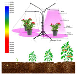 USB 5V LED Grow Light 18W 27W 36W DC12V Full Spectrum Phyto Lamp 40W 60W 80W For Plants Seedlings Flower For Veg Flowers