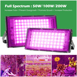 LED Grow Light Phyto Lamp 220V Full Spectrum For Greenhouse Hydroponic Plants 50W 100W 200W Growing Lamp Standing For Seedlings