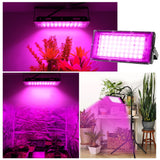 LED Grow Light Phyto Lamp 220V Full Spectrum For Greenhouse Hydroponic Plants 50W 100W 200W Growing Lamp Standing For Seedlings