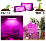 LED Grow Light Phyto Lamp 220V Full Spectrum For Greenhouse Hydroponic Plants 50W 100W 200W Growing Lamp Standing For Seedlings