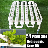 54 Holes Hydroponic Piping Site Grow Kit Deep Water Culture Planting Box Gardening System Nursery Pot Hydroponic Rack