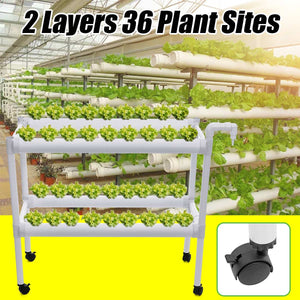 36 Holes Hydroponic Piping Site Grow Kit Deep Water Culture Planting Box Gardening System Nursery Pot Hydroponic Rack