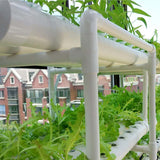 36 Holes Hydroponic Piping Site Grow Kit Deep Water Culture Planting Box Gardening System Nursery Pot Hydroponic Rack