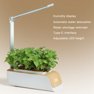 Automatic Water Absorption Soilless Culture Plant Growth Lights Flower Pot Hydroponics Growing System Smart Growing Led Lamp