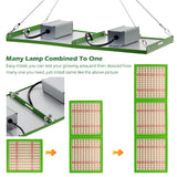 1000W LED Grow Light Full Spectrum For Indoor Plants Seedling Veg Bloom Samsung LM281B+ Growing Lamps For Hydroponic Greenhouse