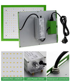 1000W LED Grow Light Full Spectrum For Indoor Plants Seedling Veg Bloom Samsung LM281B+ Growing Lamps For Hydroponic Greenhouse