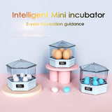 Elegant Design!Automatic Intelligent Eggs Incubator Chicken Duck Pigeon Bird Egg Incubator Quail Parrot Brooder Hatcher Pet Supplies