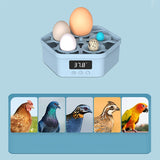 Elegant Design!Automatic Intelligent Eggs Incubator Chicken Duck Pigeon Bird Egg Incubator Quail Parrot Brooder Hatcher Pet Supplies