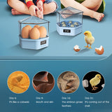 Elegant Design!Automatic Intelligent Eggs Incubator Chicken Duck Pigeon Bird Egg Incubator Quail Parrot Brooder Hatcher Pet Supplies