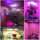 Ultra Thin 2500W LED Grow Light Full Spectrum Phyto Lamp AC85-240V EU US Plug For Greenhouses Indoor Led Plant Lamp For Hydroponic