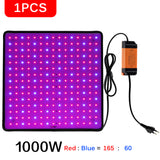 Ultra Thin 2500W LED Grow Light Full Spectrum Phyto Lamp AC85-240V EU US Plug For Greenhouses Indoor Led Plant Lamp For Hydroponic