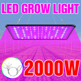 LED Grow Light 2000W Phyto Grow Lamp 2835 LEDS Phytolamp For Plants Growth Lighting Full Spectrum Quantum Board For Indoor Plant